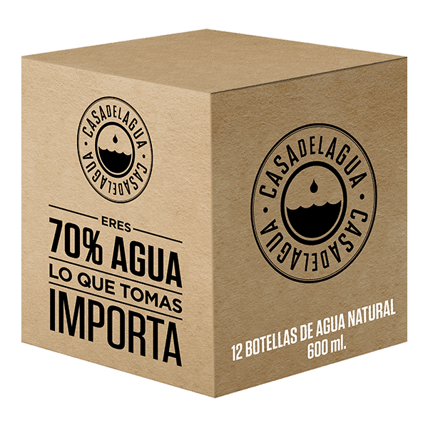 caja de agua casa del agua natural 600 ml con 12 botellas